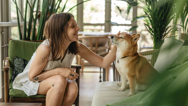 Best-Selling Pet Toys for a Happy, Healthy, and Entertained Pet