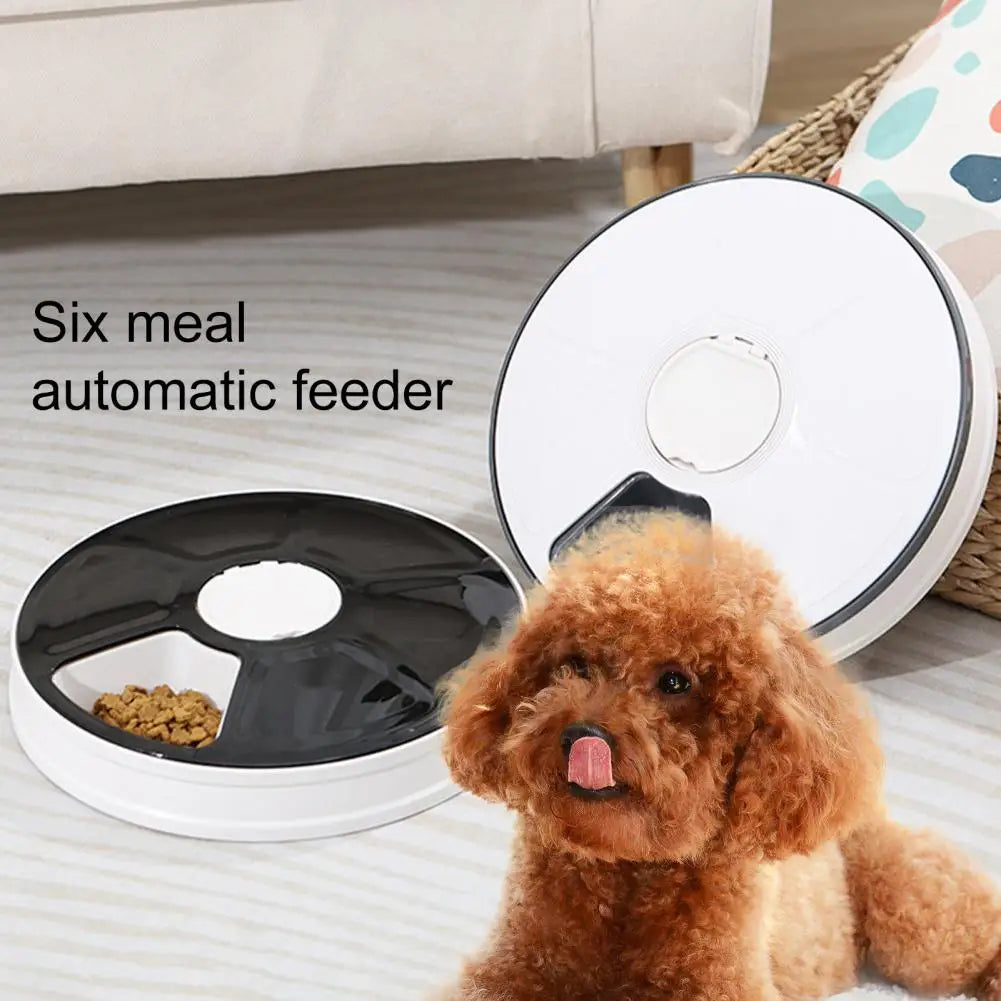 Smart Auto Pet Feeder w/ Voice & Timer | 6-Tray Meal Bowl