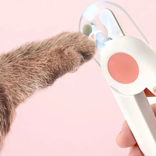 LED Pet Nail Clippers with Anti-Blood Safety Guard – Nail Trimmers for Cats