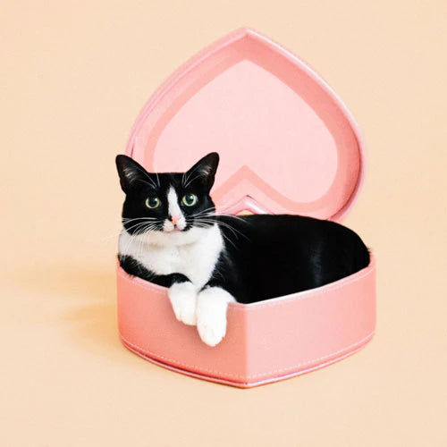 Pet Bag