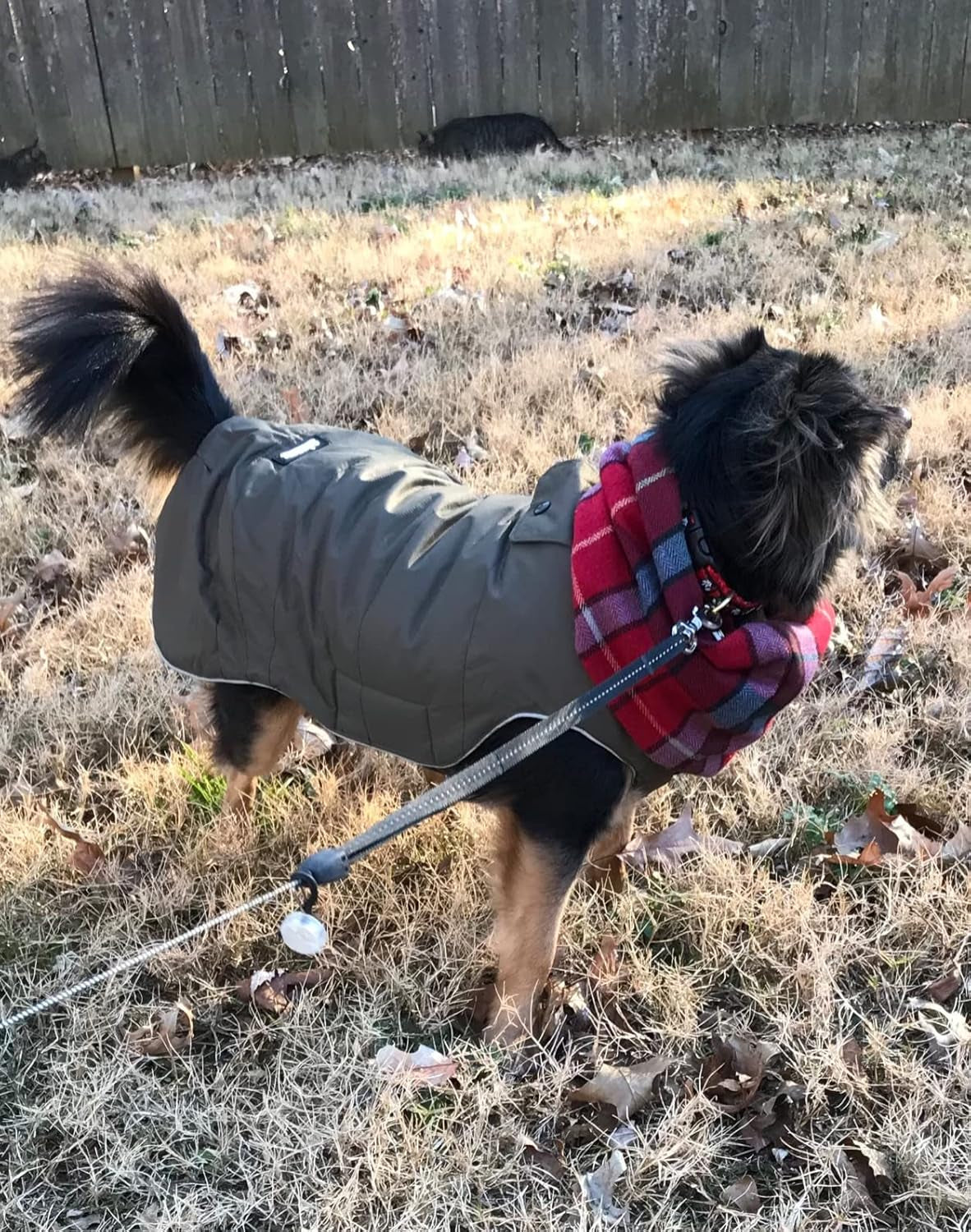 Warm Dog Jacket, Snowproof Windproof Waterproof Dog Winter Coat for Cold Weather - Soft Fleece Lining and Warm Thick Padded Dog Snow Coat with Detachable Hood for Puppy Small Medium Dogs