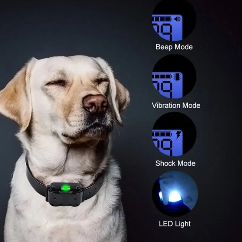 Remote Dog Training Collar – Waterproof Anti-Bark Rechargeable Control Device