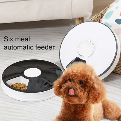 Smart Auto Pet Feeder w/ Voice & Timer | 6-Tray Meal Bowl
