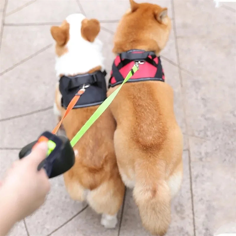 🐾 Dual Retractable Dog Leash – Tangle-Free Walking for Two Pets! 🐕