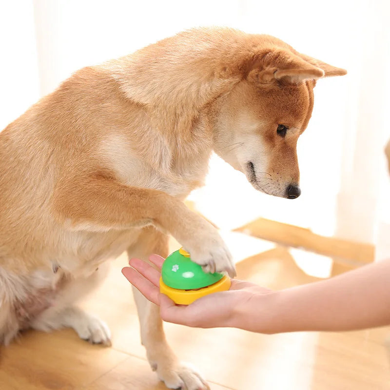Interactive Pet Toy Bell – Training Ring for Dogs &amp; Cats
