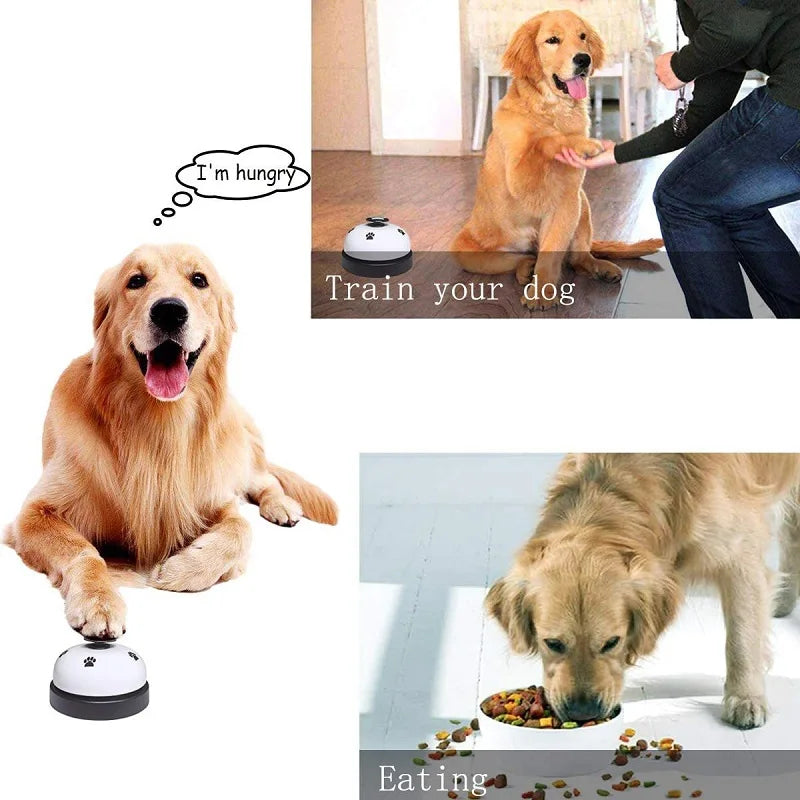 Interactive Pet Toy Bell – Training Ring for Dogs &amp; Cats