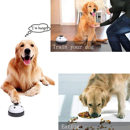 Interactive Pet Toy Bell – Training Ring for Dogs &amp; Cats