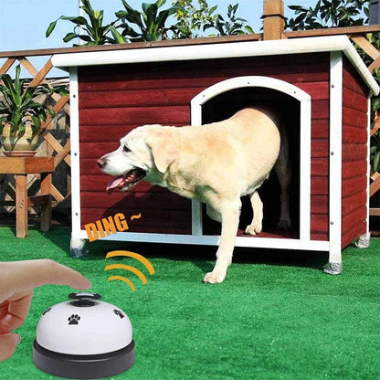 Interactive Pet Toy Bell – Training Ring for Dogs &amp; Cats